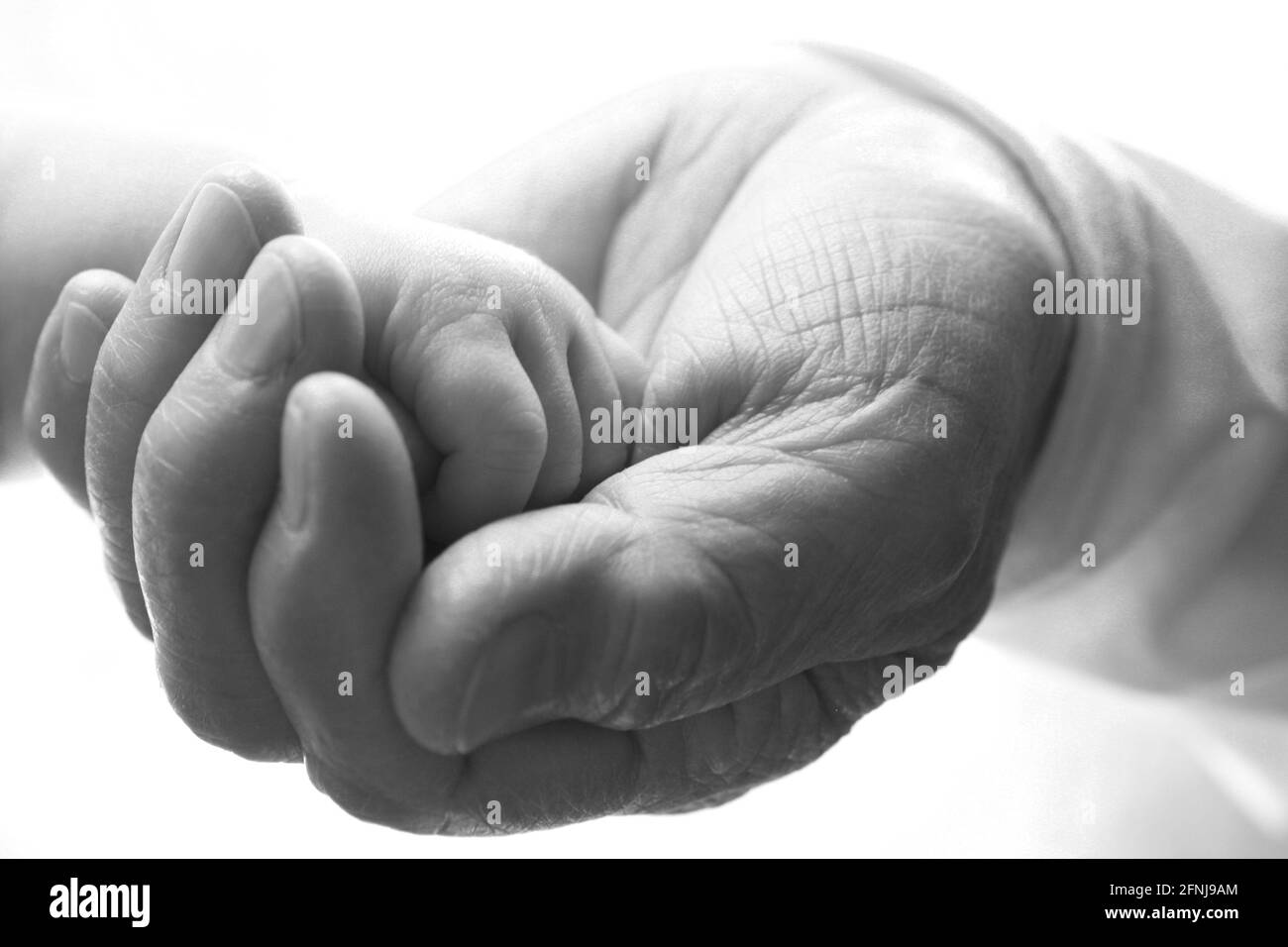 Die verwitterte Hand der Großmutter, die die Hand eines Neugeborenen sanft in sich hält. Stockfoto