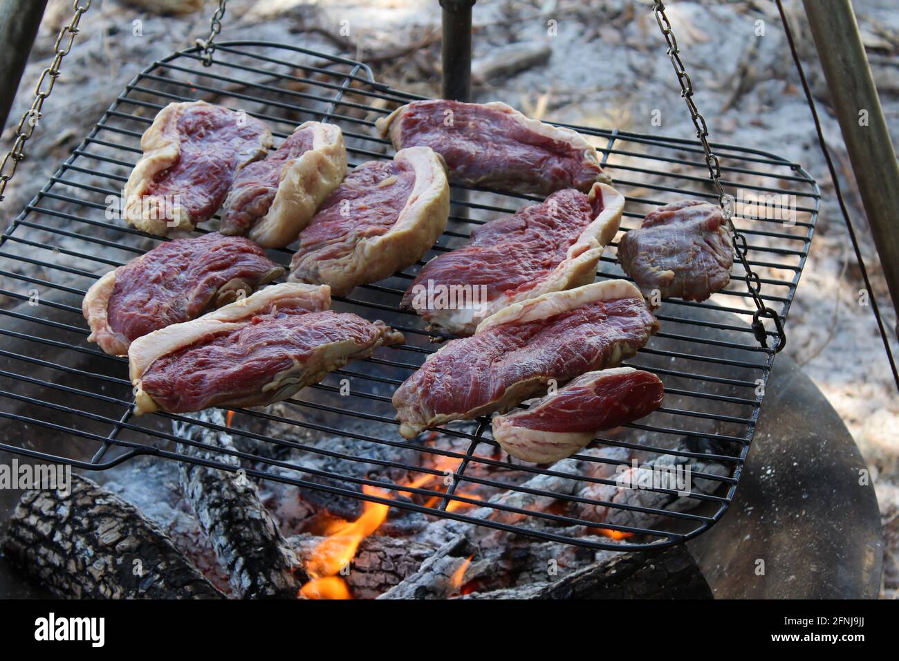 Stücke von rohem Fleisch, Steaks, Kochen auf einem Grill über einem Holzfeuer auf einem Campingplatz. Picanha-Steak Stockfoto