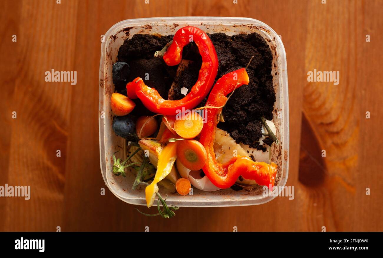 Der grüne Mülleimer in einer Plastikbox auf einem Holztisch mit etwas Kaffeesatz, roten und gelben Paprika, Karotten. Stockfoto