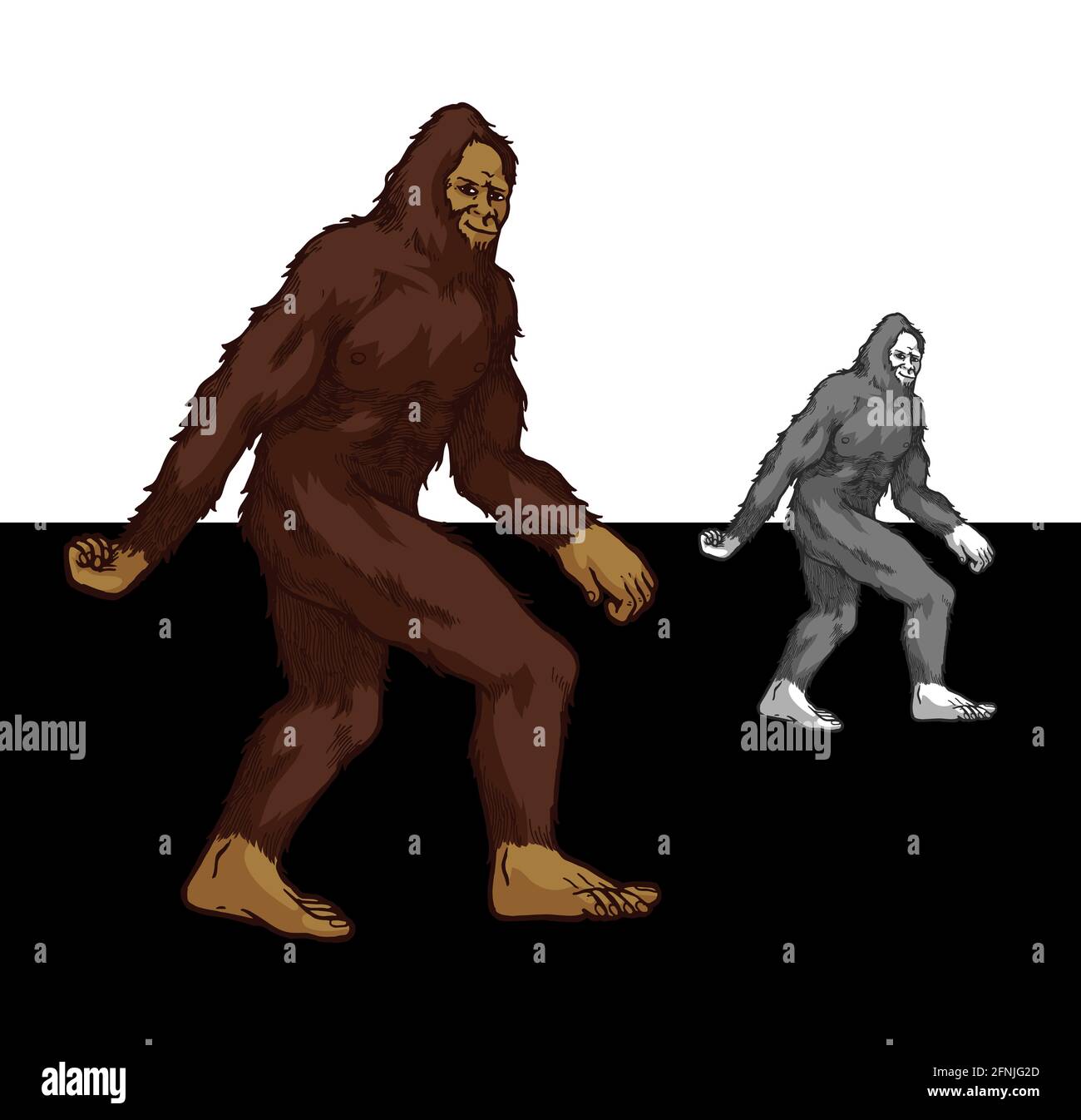 bigfoot Walking - mystische Kreatur Sasquatch farbig und Graustufen gut Blick auf dunklen und hellen Hintergrund Stock Vektor