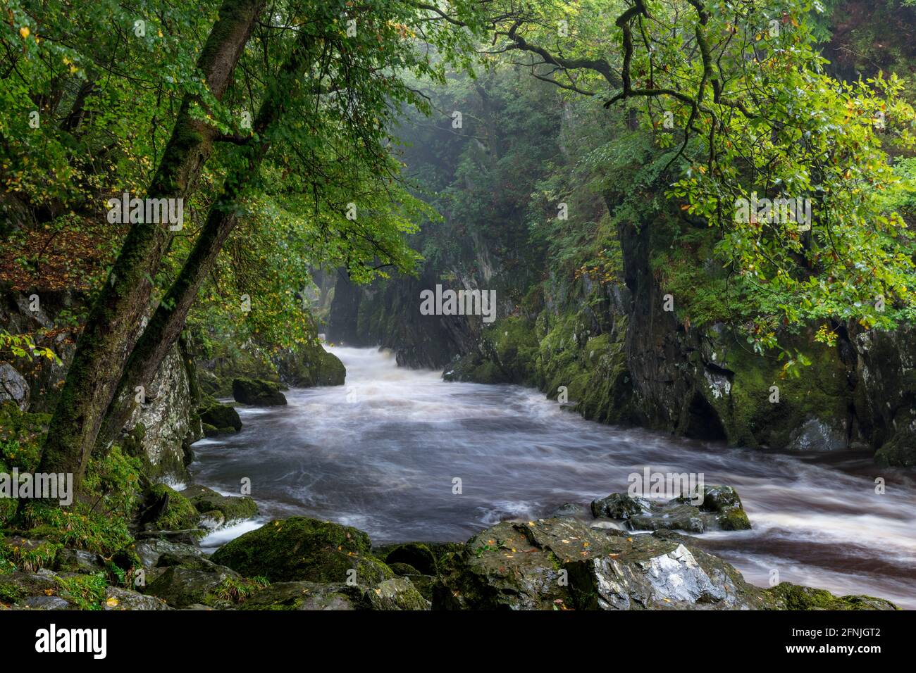 Fairy Glen Gorge - River Conwy, in der Nähe von Betws-y-Coed, Snowdonia National Park, Conwy County, Wales, VEREINIGTES KÖNIGREICH Stockfoto
