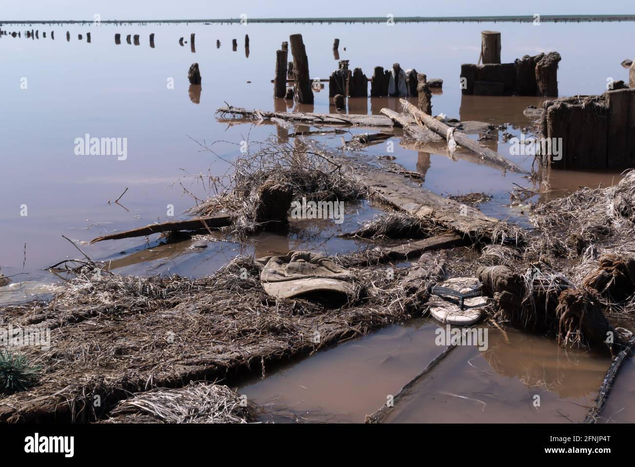 Ein Flip-Flop aus Gummi und eine schmutzige Mütze liegen am Ufer des salzigen Pink Lake zwischen alten nassen Brettern und Baumstämmen. Verschmutzungskonzept. Horizontale Ausrichtung Stockfoto