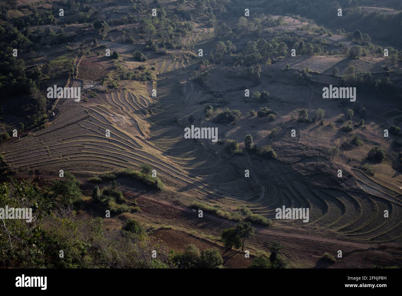 Blick auf die wunderschönen terrassenförmigen Reisfelder Farm während des Abenduntergangs zwischen Kalaw und Inle Lake, Shan stat, Myanmar Stockfoto
