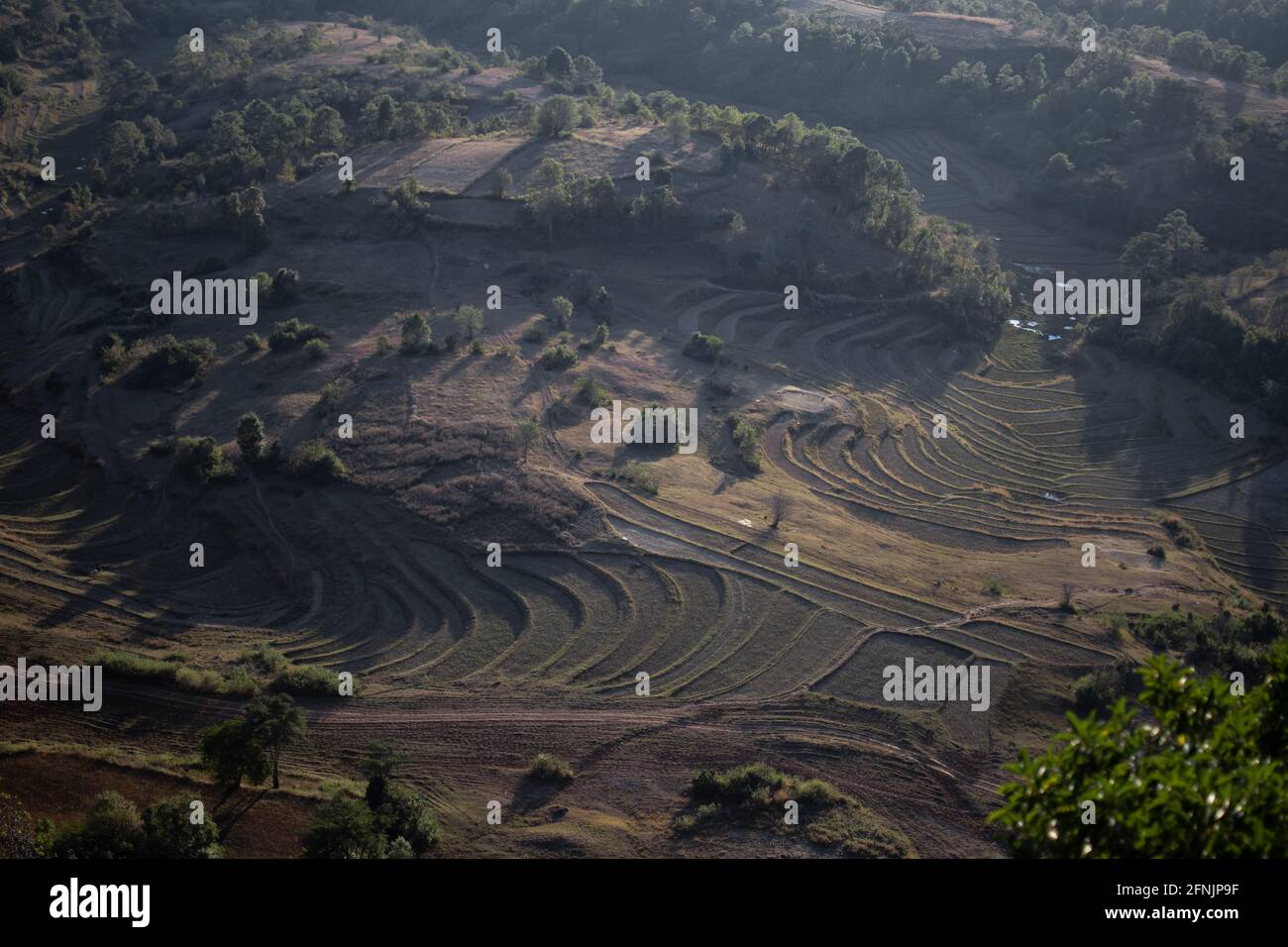 Blick auf die wunderschönen terrassenförmigen Reisfelder Farm während des Abenduntergangs zwischen Kalaw und Inle Lake, Shan stat, Myanmar Stockfoto