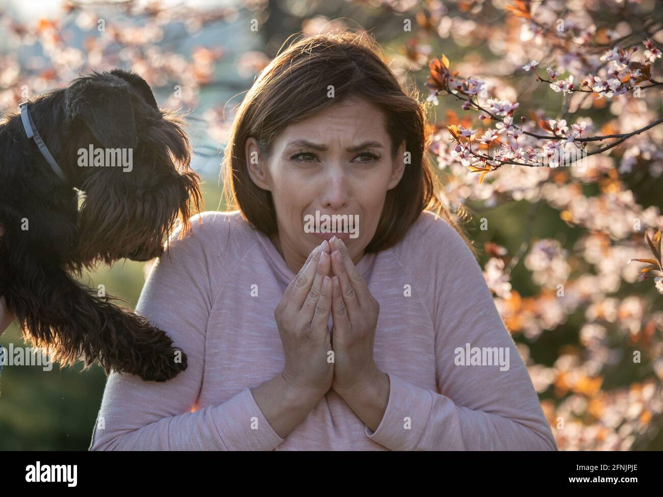Ängstliches Mädchen, das neben dem Hund und dem blühenden Baum steht, hat eine allergische Reaktion auf Pollen und Tierhaare Stockfoto