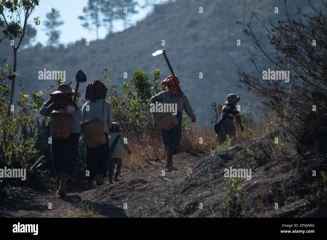 Lokale starke Frauen im traditionellen Longyi, die im Freien zwischen Kalaw und Inle Lake, Shan State, Myanmar, arbeiten Stockfoto