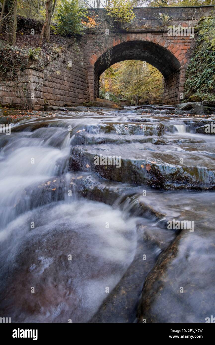 Brücke über May Beck, Sneaton Forest, Nr Whitby Stockfoto