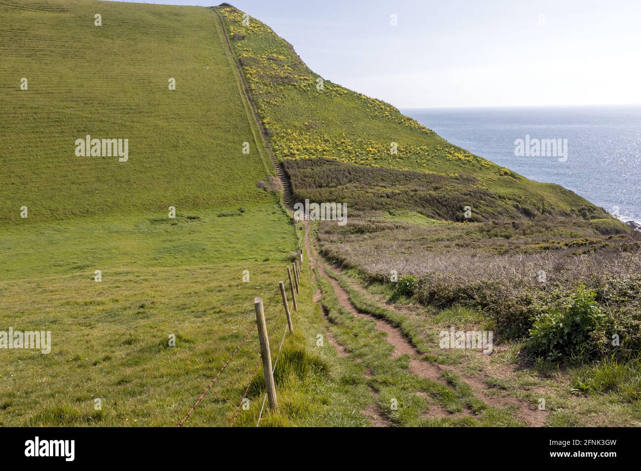 Steiler Pfad von Emmetts Hill, St Aldhelm's Head alias St Alban's Head, Jurassic Coast, Dorset Coast Path, Dorset, Großbritannien Stockfoto