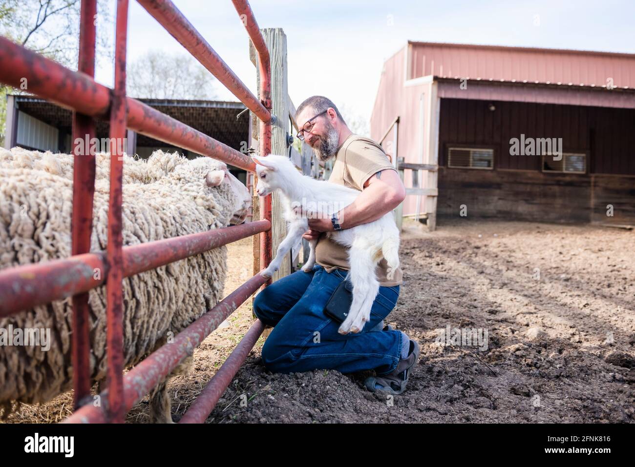 Mann, der eine kleine weiße Ziege an einem Schafstall hält. Stockfoto