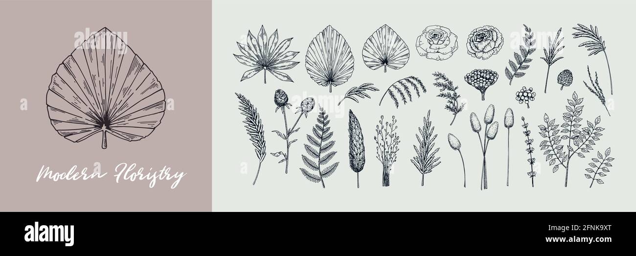 Handgezeichneter Satz moderner Pflanzen für Floristik, Vektorgrafik im Skizzenstil Stock Vektor
