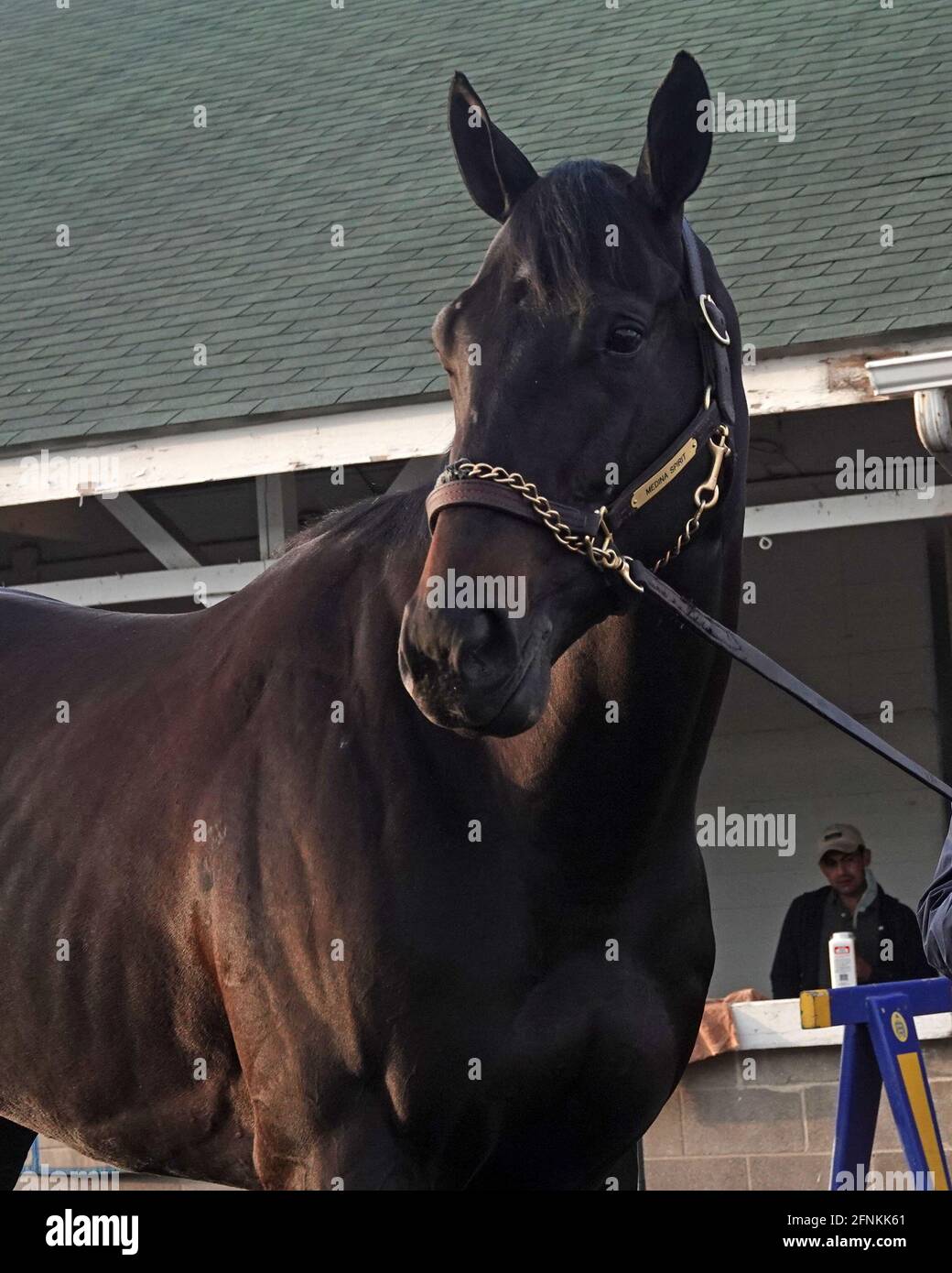 Medina Spirit der 147. Gewinner des Kentucky Derby am 2. Mai 2021 trifft die Medien Stockfoto