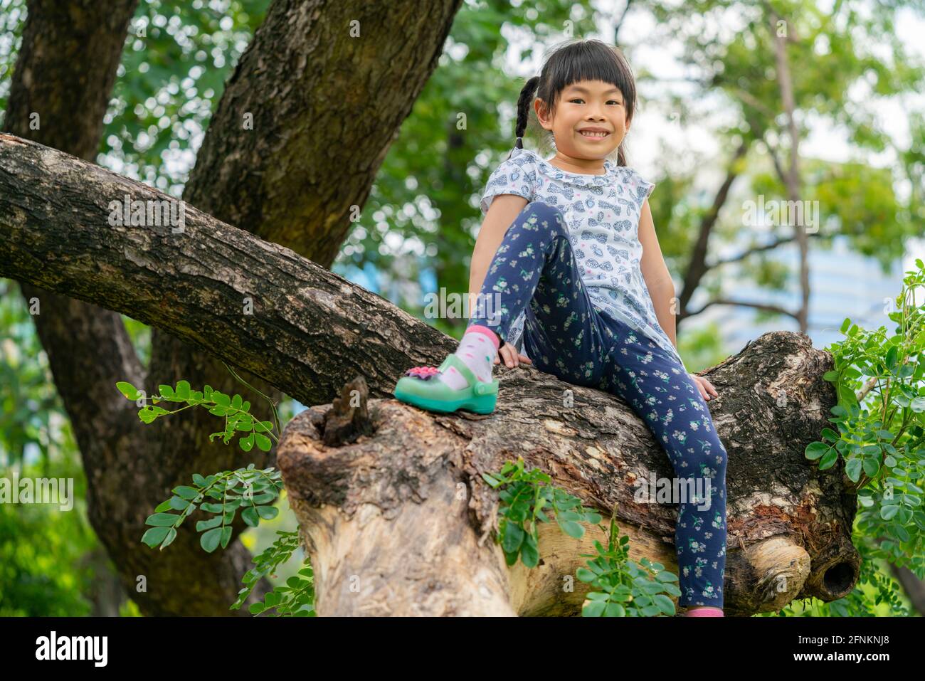 Asiatische Kind Mädchen sitzt und lächelt auf einem Brunch von großen Baum im Park. Low-Angle-Ansicht. Stockfoto