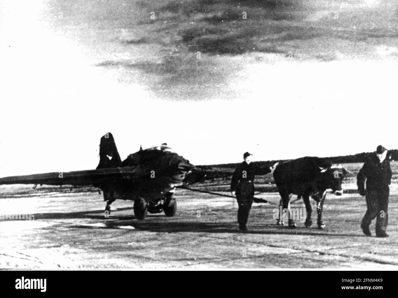 Transport / Transport, Luftfahrt, Militär, Raketenflugzeug Messerschmitt Me 163 B wird von einem Ochsen auf den Flugplatz gezogen, 1944, nur REDAKTIONELLE VERWENDUNG Stockfoto