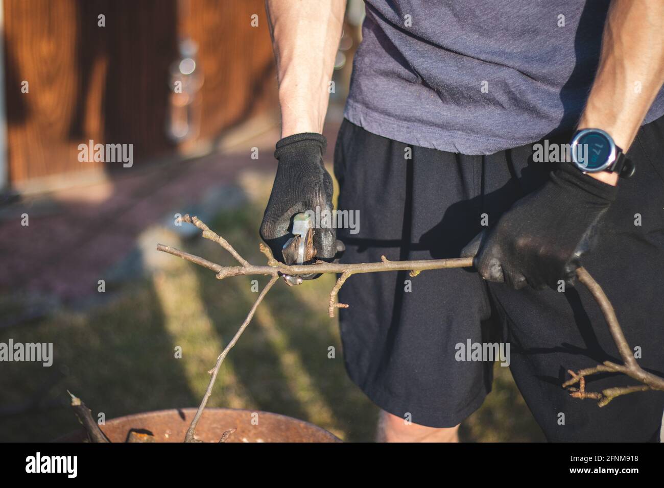 Detail des Einsatzes eines jungen Leiharbeiters in einer Waldumgebung beim Schneiden von Ästen. Eine scharfe Schere schneidet durch einen kleinen Baumstamm Stockfoto