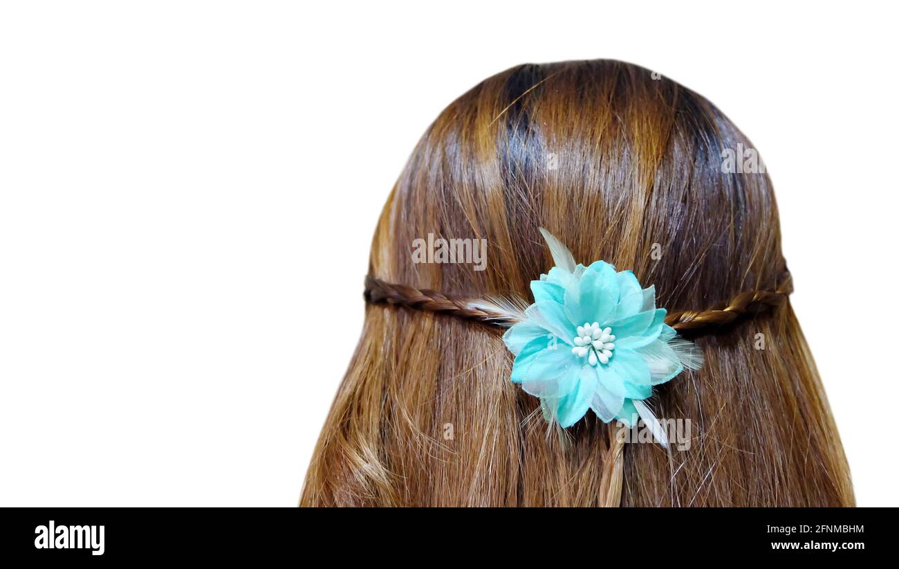 Rückansicht Aufnahme einer jungen Frau mit langen, brünetten Haaren mit lockigen Enden, Stockfoto