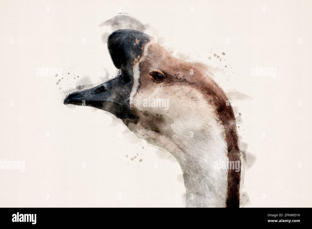 Braune chinesische Gans. Vogelrasse mit typischen basalen Knopf auf der Oberseite des Schnabel. Aquarelle, Aquarell-Illustration. Stockfoto