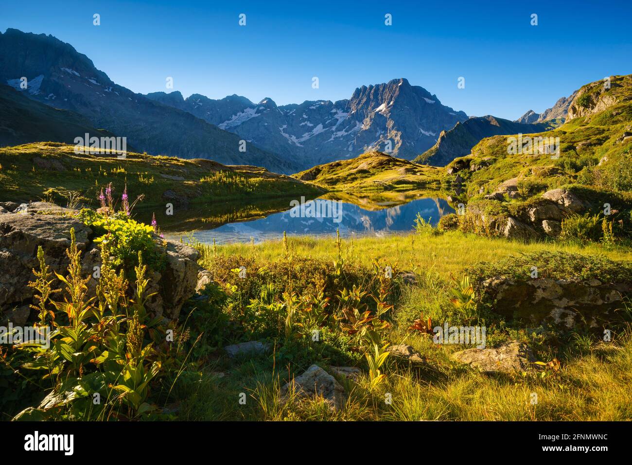 Lauzon Lake im Ecrins National Park im Sommer mit Blick auf den Gipfel des Sirac. Französische Alpen. Giberney, Valgaudemar, Hautes-Alpes, Frankreich Stockfoto