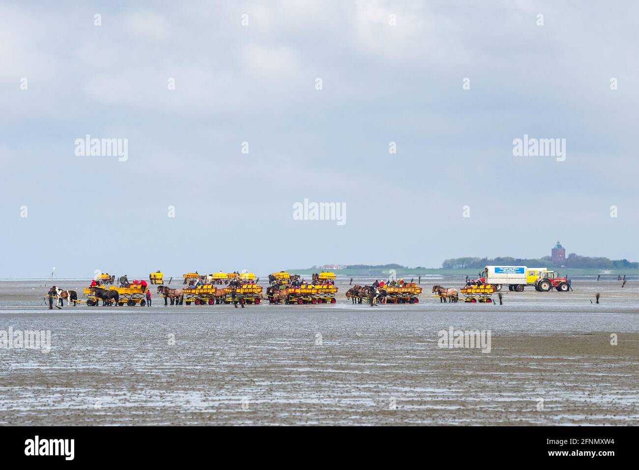 Cuxhaven, Deutschland. Mai 2021. Pferdekutschen fahren durch das Watt vor Neuwerk Island. Zwischen Neuwerk Island und dem Festland hat sich im Watt eine sehr große Gezeitenflachform gebildet. Es besteht die Gefahr, dass die Insel bald vom Festland abgeschnitten und nur noch per Schiff erreichbar sein wird. Die Bewohner der Nordseeinsel Neuwerk und die Watvögel demonstrieren für den Erhalt des Weges über das Wattenmeer. Quelle: Sina Schuldt/dpa/Alamy Live News Stockfoto