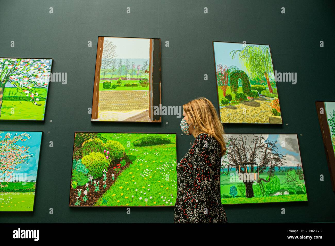 LONDON, 18. Mai 2021. Die Vorschau von 'David Hockney: The Arrival of Spring, Normandy, 2020' wurde erstmals in der Royal Academy of Arts in Piccadilly gezeigt. David Hockney markiert den Beginn und die Entfaltung der Frühjahrssaison mit einem iPad und einer neuen App, die an seine spezifischen Anforderungen angepasst und entwickelt wurde. In der Normandie. Die Ausstellung läuft vom 23. Mai bis 26. September 2021 Credit amer ghazzal/Alamy Live News Stockfoto