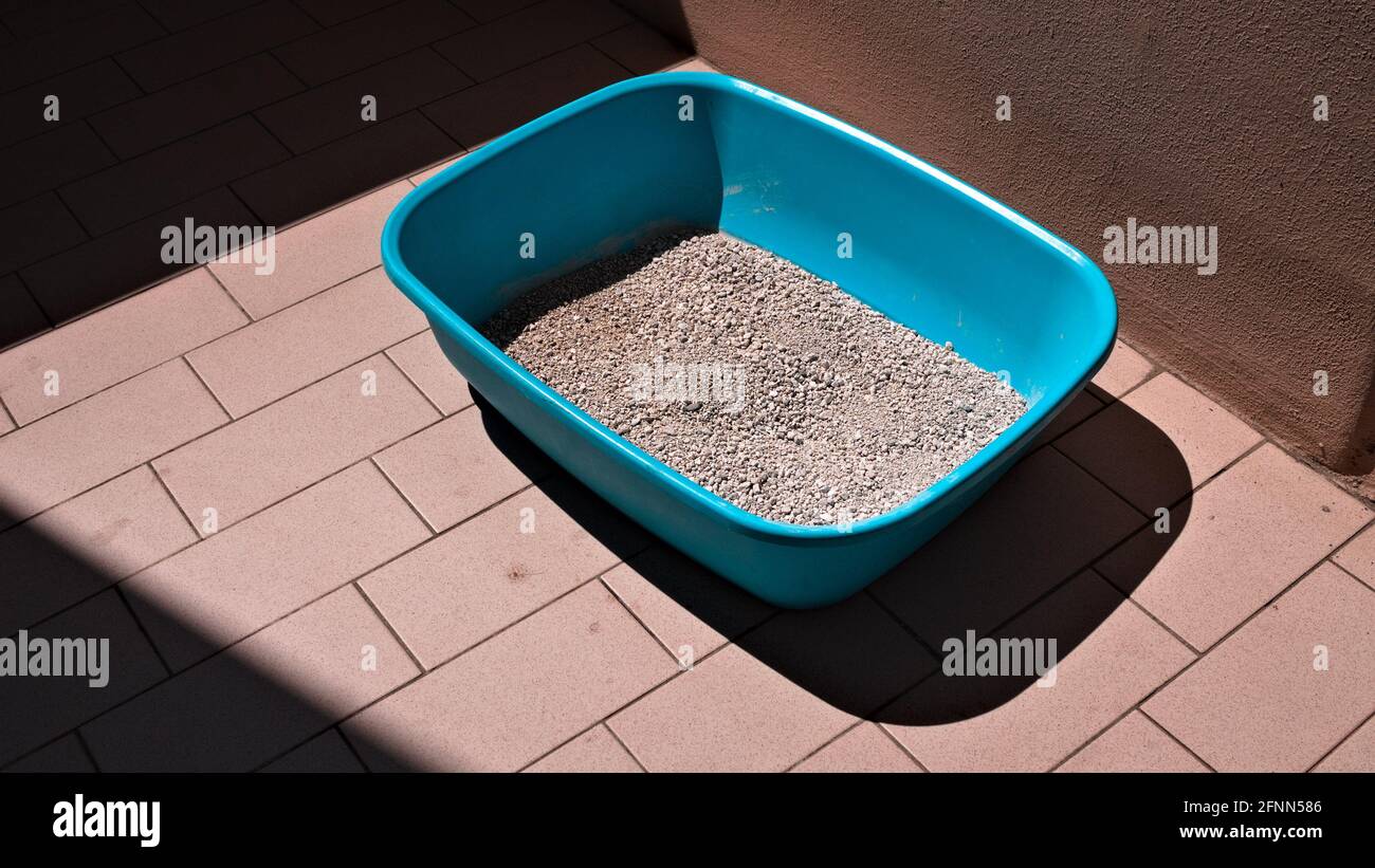hundeleine schwarz Biothane Führleine main image 1