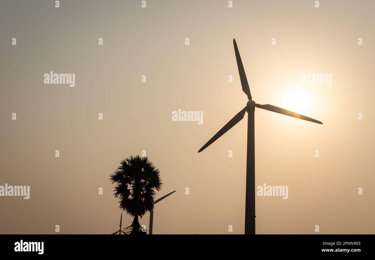 Windmühlen einzeln in eine Richtung mit Sonne und Baum. Windmühlen mit Ackerflächen, die die neue Energiequelle anzeigen. Windenergie ist das eigentliche Beispiel Stockfoto