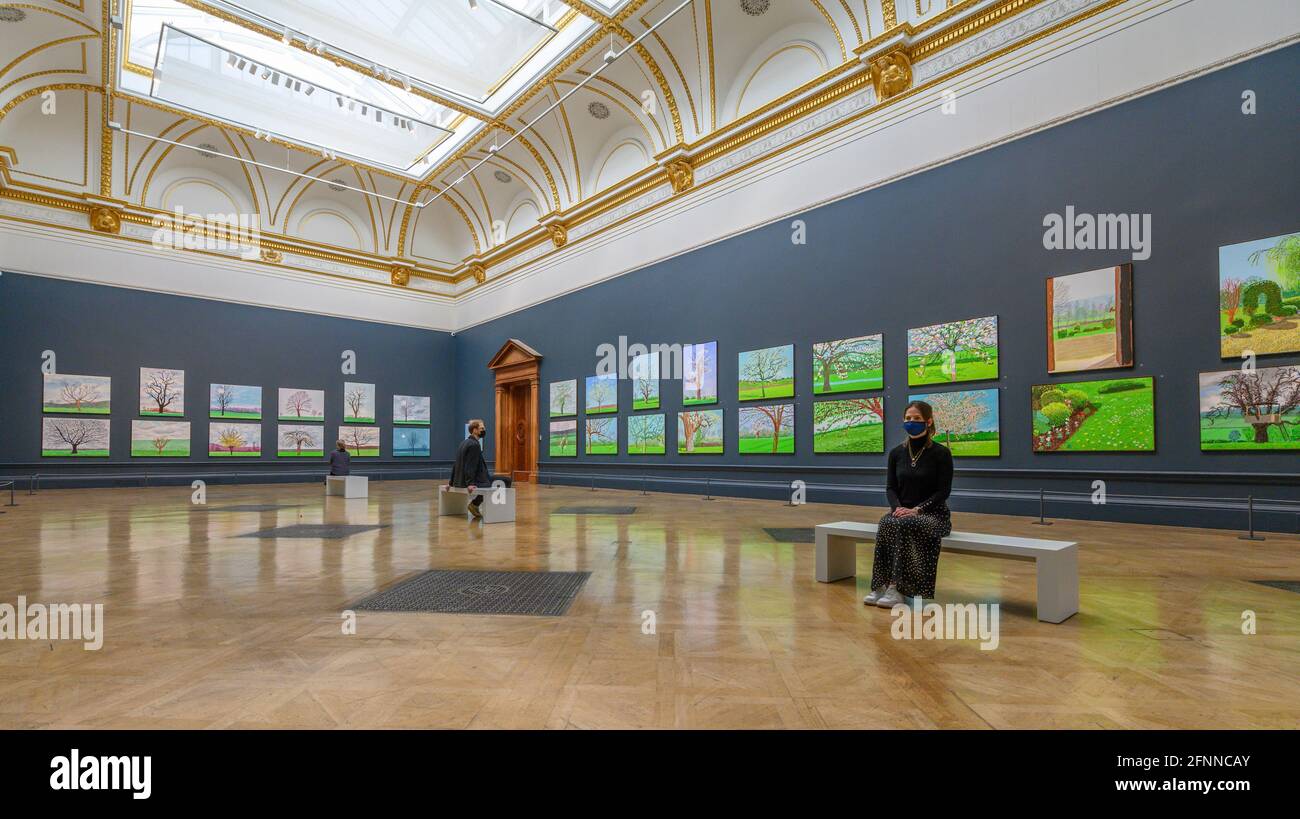 Royal Academy of Arts, London, Großbritannien. 18 Mai 2021. David Hockney: Die Ankunft des Frühlings, Normandie, 2020. Neue Werke von David Hockney RA aus seiner Heimat in der Normandie, die den Verlauf des Frühlings kartographieren. Der Zeitraum, in dem diese Arbeiten durchgeführt wurden, fiel mit dem Beginn der Coronavirus-Pandemie (COVID-19) und der Sperrung zusammen. Die Ausstellung läuft vom 23. Mai bis 26. September 2021. Quelle: Malcolm Park/Alamy Live News. Stockfoto