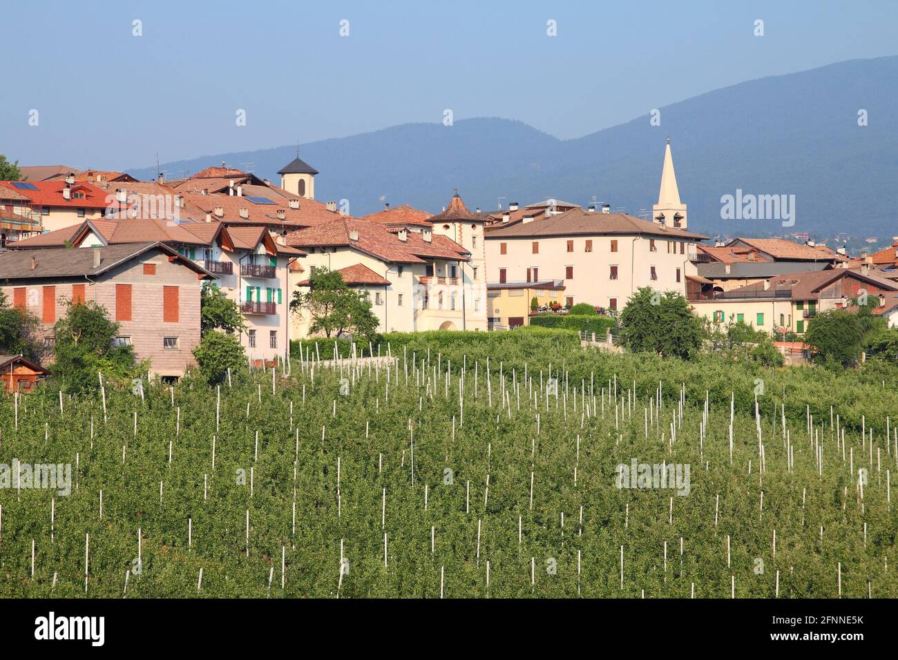 Val di Non - Tal in der Provinz Trient, Italien. Revo Stadt und Apfelplantagen Stockfoto