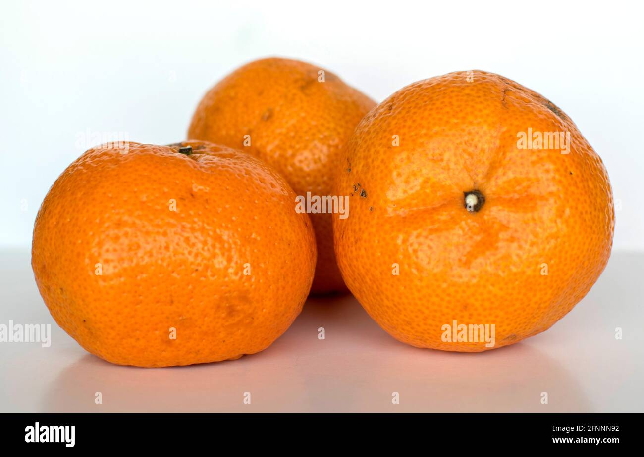 Mandarine Stockfoto