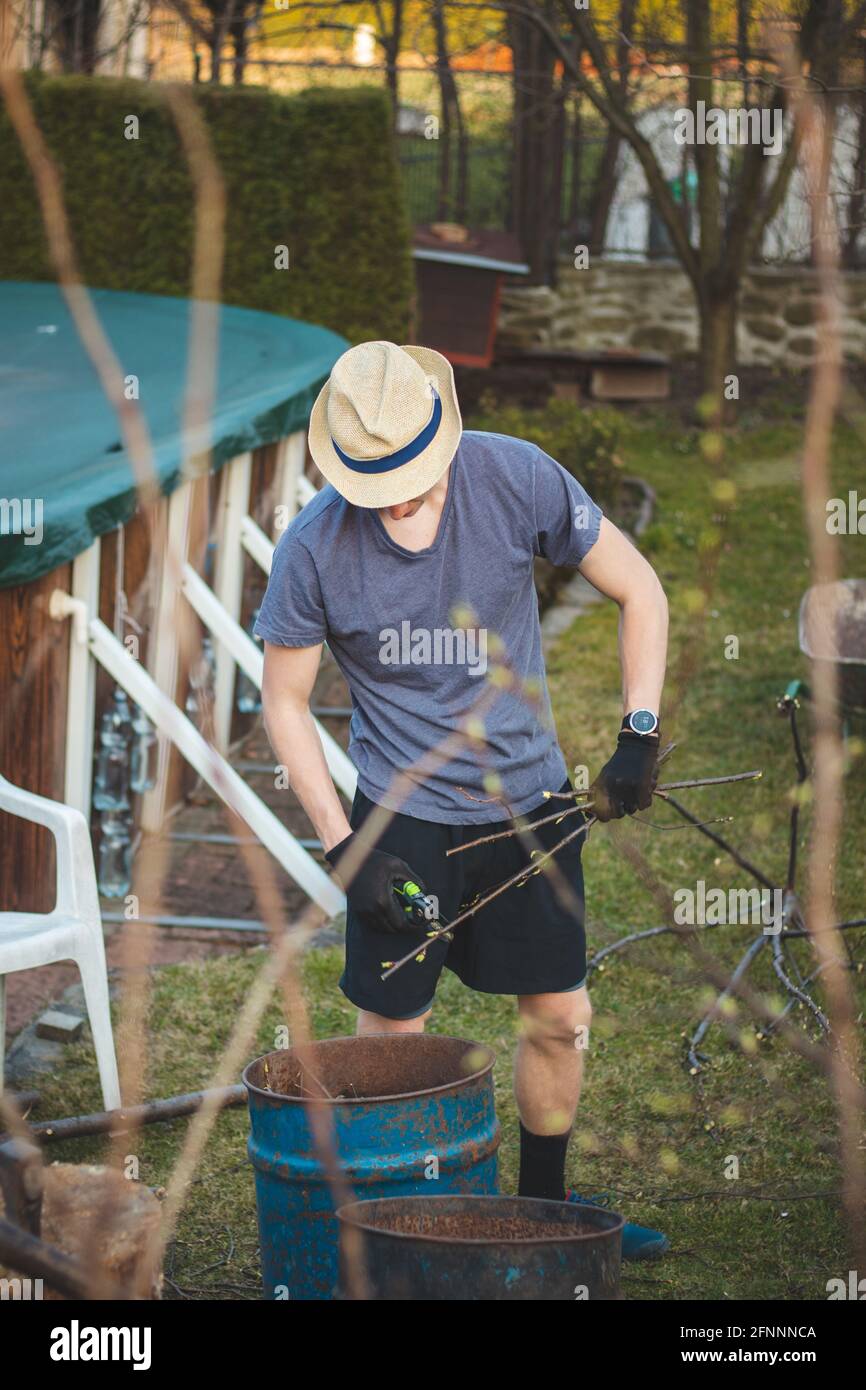 Der junge blonde Junge mit einem Hut hackt Zweige, um sie später zu verbrennen. Verarbeitung von geschnittenen Ästen von Obstbäumen in Obstgärten. Äste in kleine n schneiden Stockfoto