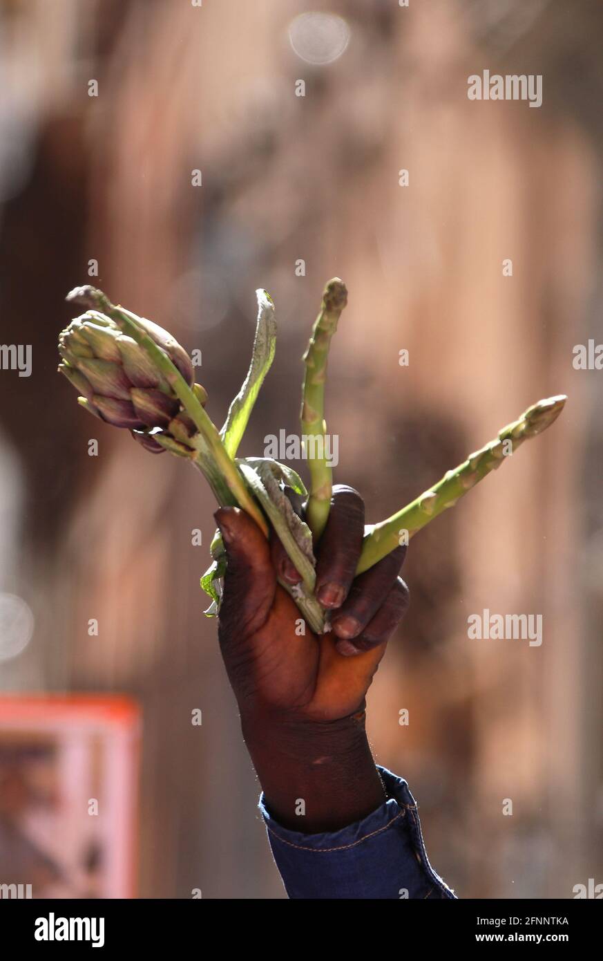 Rom, Manifestation unsichtbarer Landarbeiter und Landarbeiter, um mehr Rechte bei der Arbeit und Gesundheit zu fordern, vor Montecitorio. Abgebildet: Stockfoto