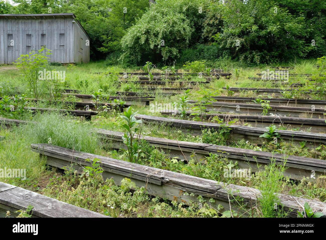 Bewachsene Sitzgelegenheiten im Amphitheater im Ephrata Cloister, Lancaster County, Pennsylvania Stockfoto