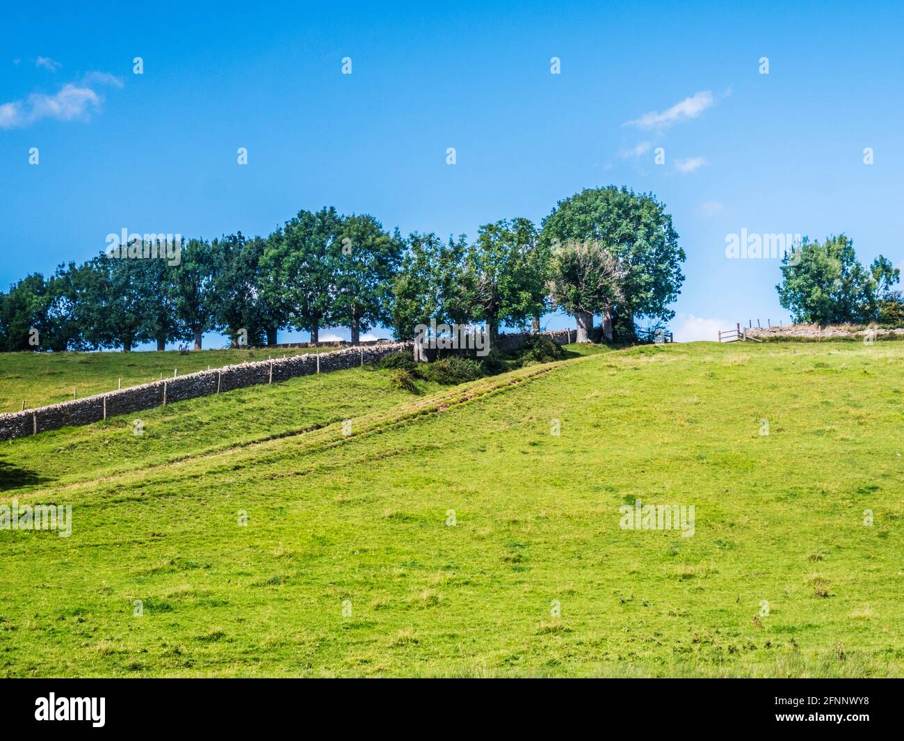 Hügelige Sommerlandschaft in den Gloucestershire Cotswolds. Stockfoto