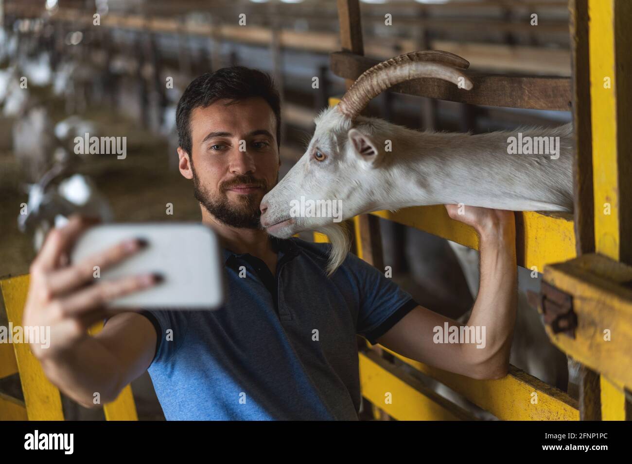 Guy macht ein Selfie am Telefon mit einer Ziege Stockfoto