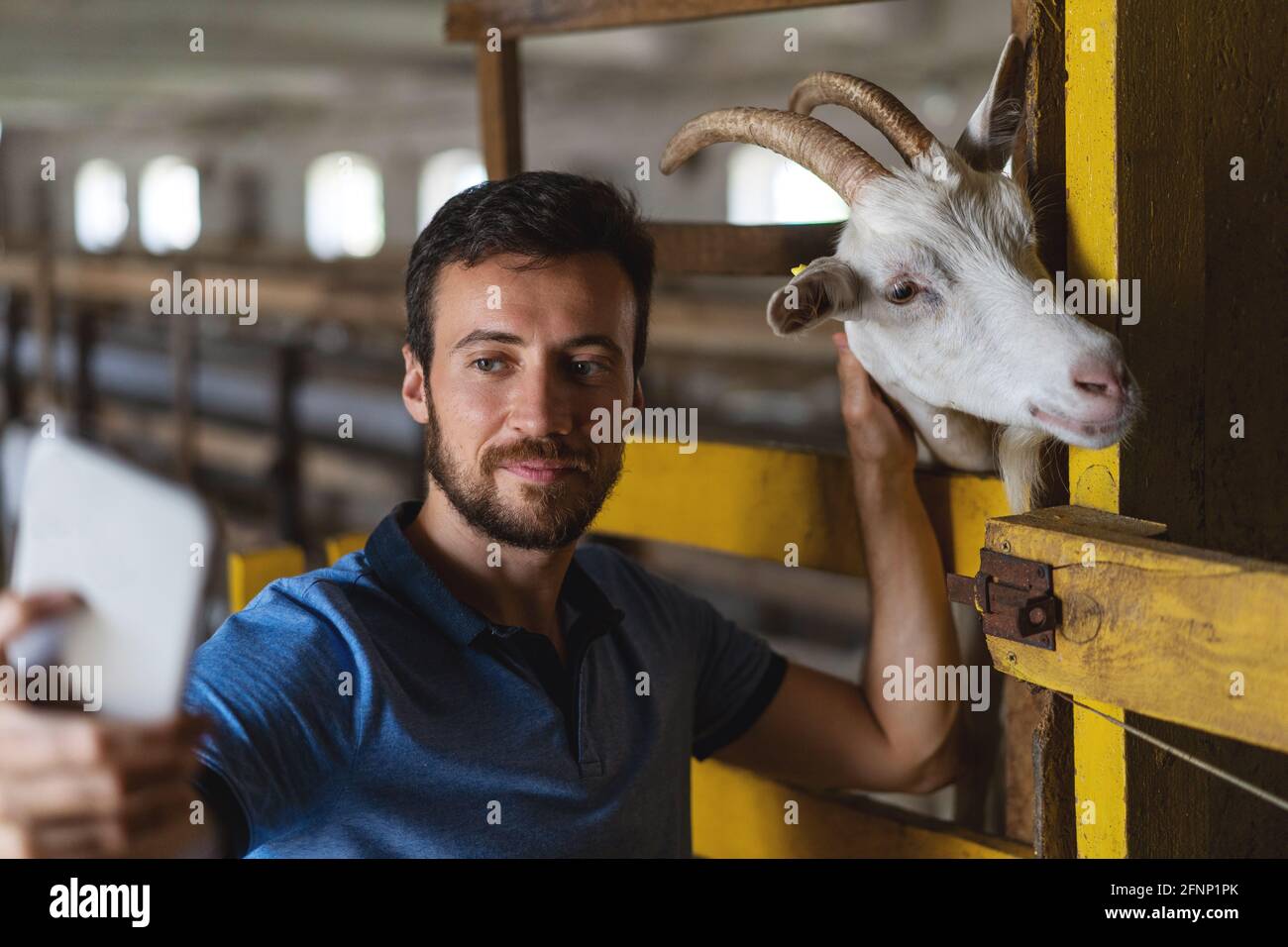 Guy macht ein Selfie am Telefon mit einer Ziege Stockfoto