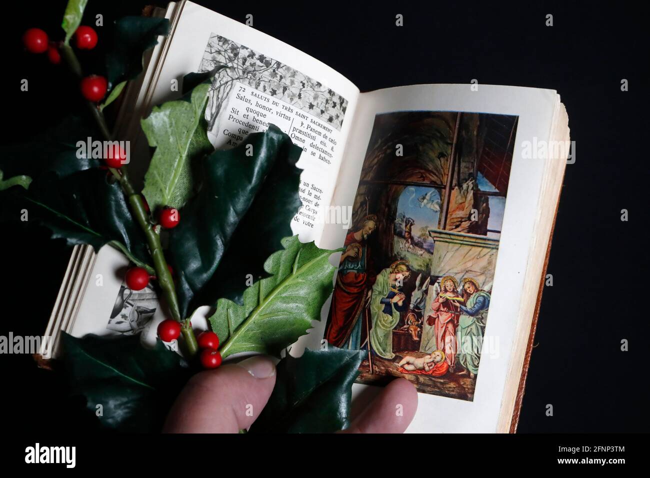 Krippe. Öffne die bibel und den Stechelzweig. Weihnachtskomposition. Frankreich. Stockfoto