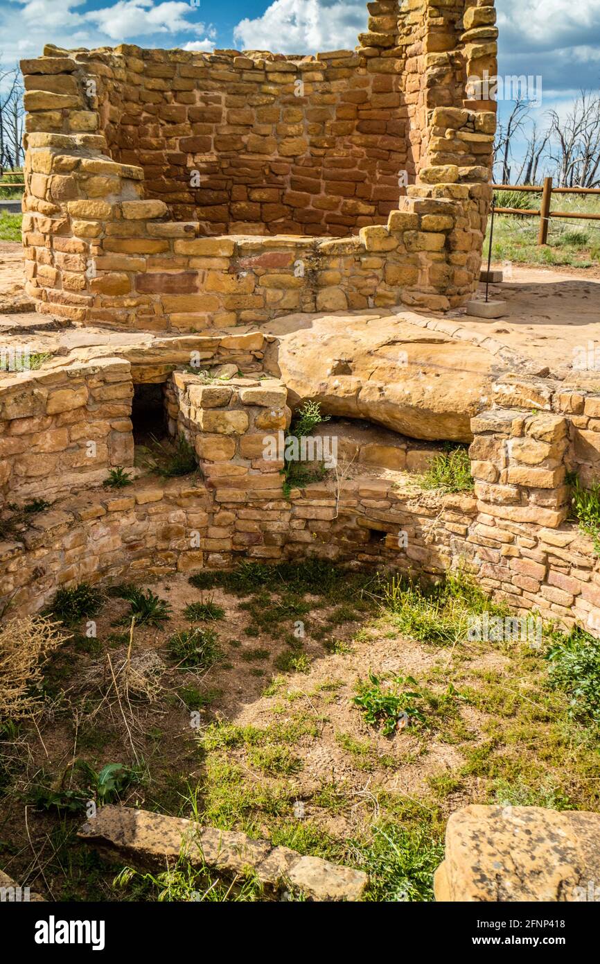 Cedar Tree House im Mesa Verde National Park, Colorado Stockfoto
