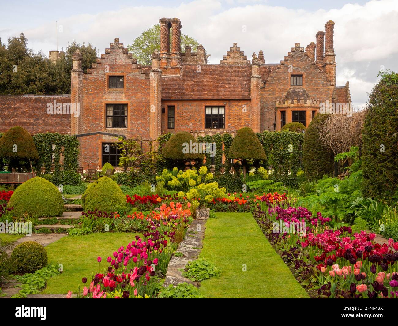 Chenies Manor House und versunkener Garten im Mai 2021, zeigt die schönen, bunten Tulpen-Display mit roten, orangen, lila Blumen und üppig grünen Rasen. Stockfoto