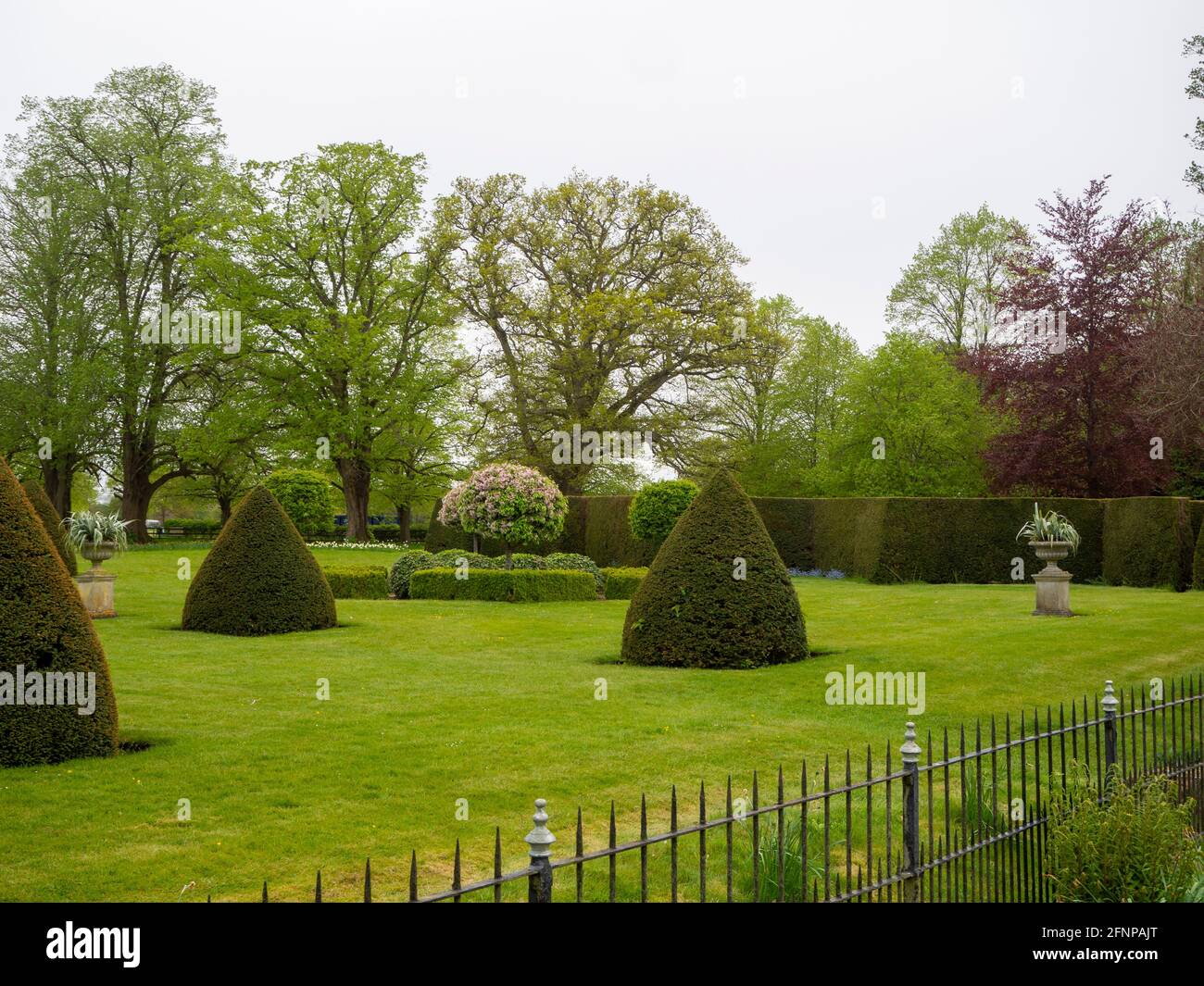 Chenies Manor Parterre im Mai; üppiger Rasen, Standard blühende Bäume und Topiary. Stockfoto