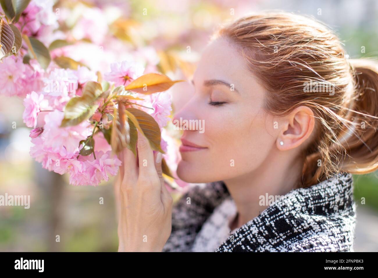 Junge positive Frau, die Kirschblüte riecht, Profilansicht, Augen geschlossen Stockfoto