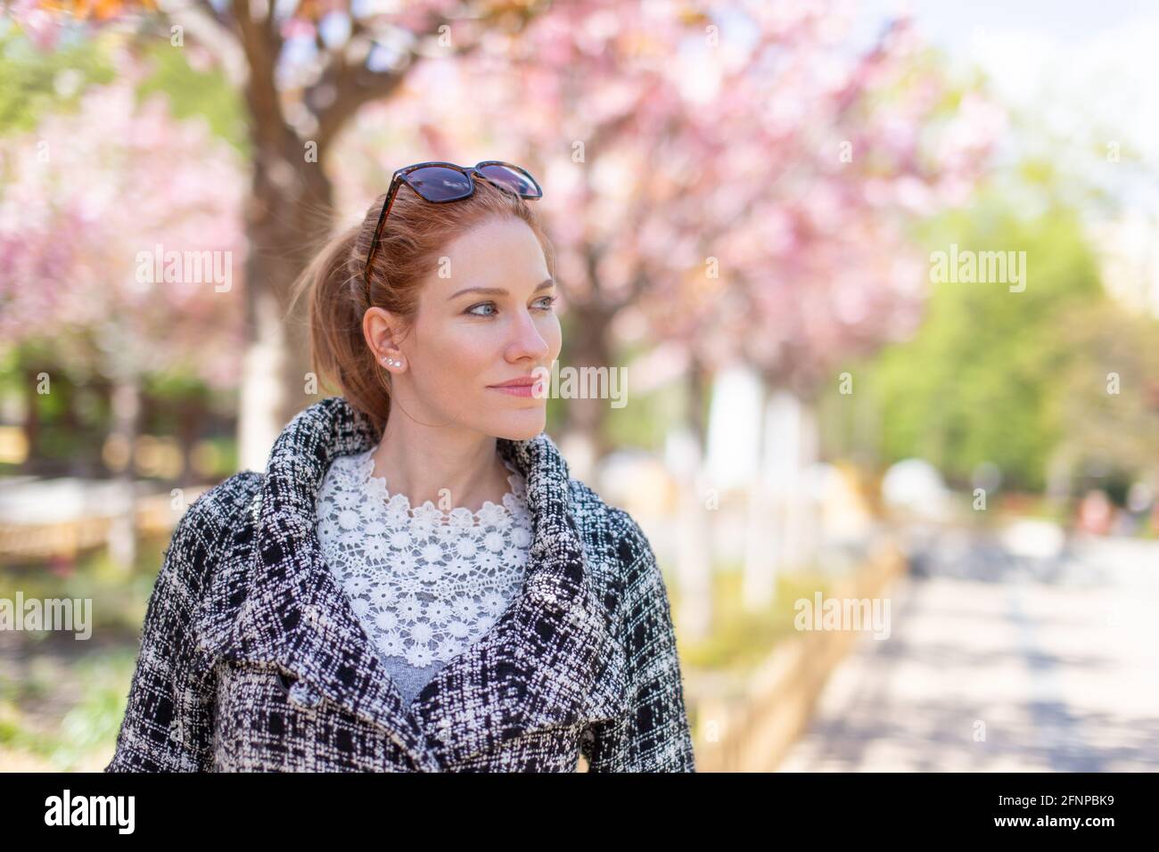 Junge Frau, die im Frühling im Park spazieren geht, Sakura, geringe Tiefenschärfe Stockfoto