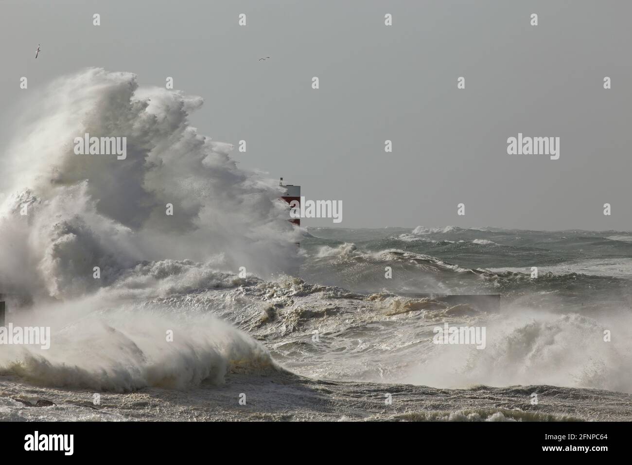 Große stürmische Welle spritzen. Douro Flussmündung neuer Nordpier, Porto, Portugal Stockfoto