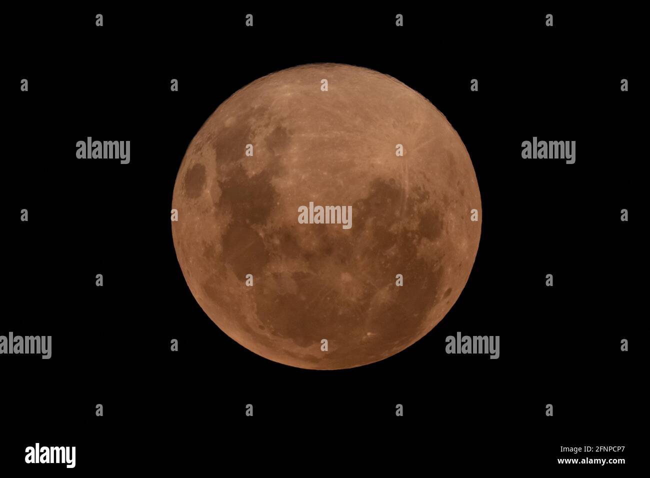 Foto des rosa Super Moon aus den Blue Mountains In New South Wales in Australien Stockfoto