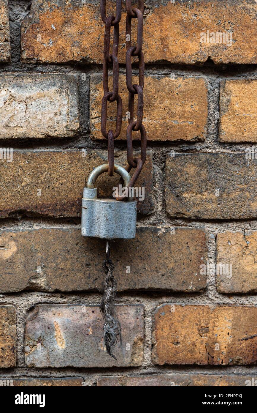 Altes Vorhängeschloss mit Kette an einer Ziegelwand Stockfoto