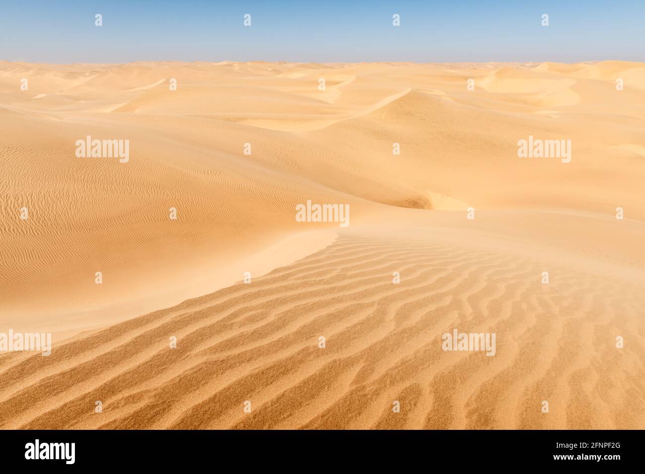 Orangefarbene Sanddünen und klarer Himmel in der Namib-Wüste Stockfoto