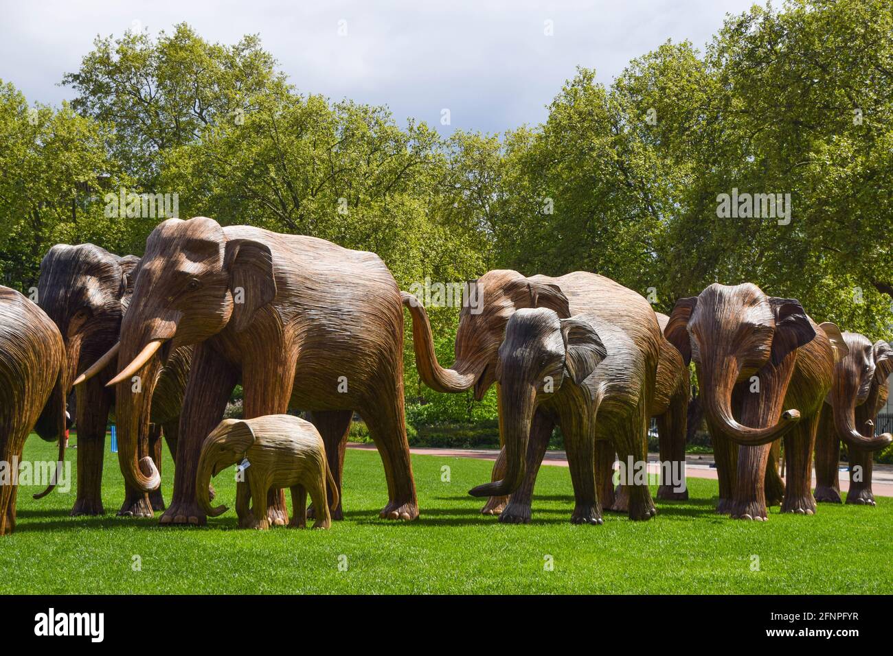 London, Großbritannien. Mai 2021. Elefantenskulpturen auf dem Duke of York Square in Chelsea, London. Als Teil der Koexistenz-Kunstinstallation, die darauf abzielt, die zunehmende Übergriffe des Menschen auf wilde Orte zu beleuchten, wird jeder Elefant aus Lantana Camara, einer giftigen, invasiven und schädlichen Pflanzenart, erschaffen. Die Installation wird in den kommenden Wochen an verschiedene Standorte in London verlegt. Kredit: SOPA Images Limited/Alamy Live Nachrichten Stockfoto