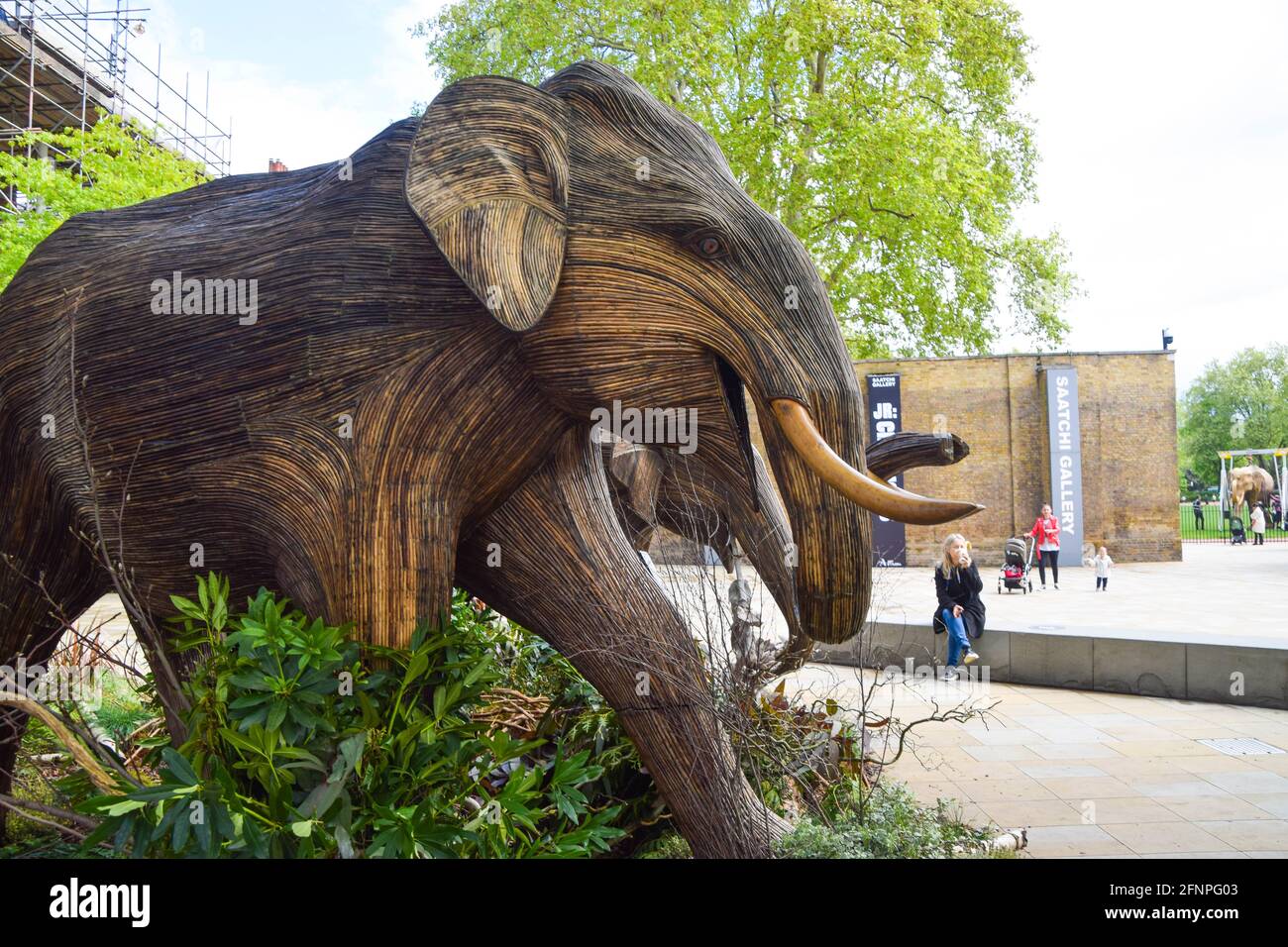 London, Großbritannien. Mai 2021. Eine Elefantenskulptur auf dem Duke of York Square in Chelsea, London. Als Teil der Koexistenz-Kunstinstallation, die darauf abzielt, die zunehmende Übergriffe des Menschen auf wilde Orte zu beleuchten, wird jeder Elefant aus Lantana Camara, einer giftigen, invasiven und schädlichen Pflanzenart, erschaffen. Die Installation wird in den kommenden Wochen an verschiedene Standorte in London verlegt. Kredit: SOPA Images Limited/Alamy Live Nachrichten Stockfoto
