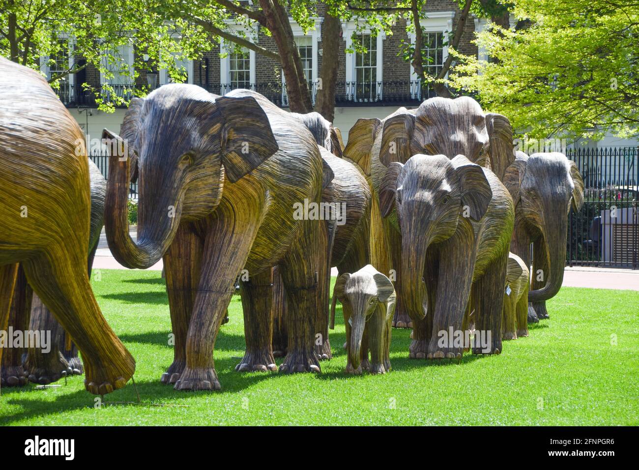 London, Großbritannien. Mai 2021. Elefantenskulpturen auf dem Duke of York Square in Chelsea, London. Als Teil der Koexistenz-Kunstinstallation, die darauf abzielt, die zunehmende Übergriffe des Menschen auf wilde Orte zu beleuchten, wird jeder Elefant aus Lantana Camara, einer giftigen, invasiven und schädlichen Pflanzenart, erschaffen. Die Installation wird in den kommenden Wochen an verschiedene Standorte in London verlegt. (Foto: Vuk Valcic/SOPA Images/Sipa USA) Quelle: SIPA USA/Alamy Live News Stockfoto