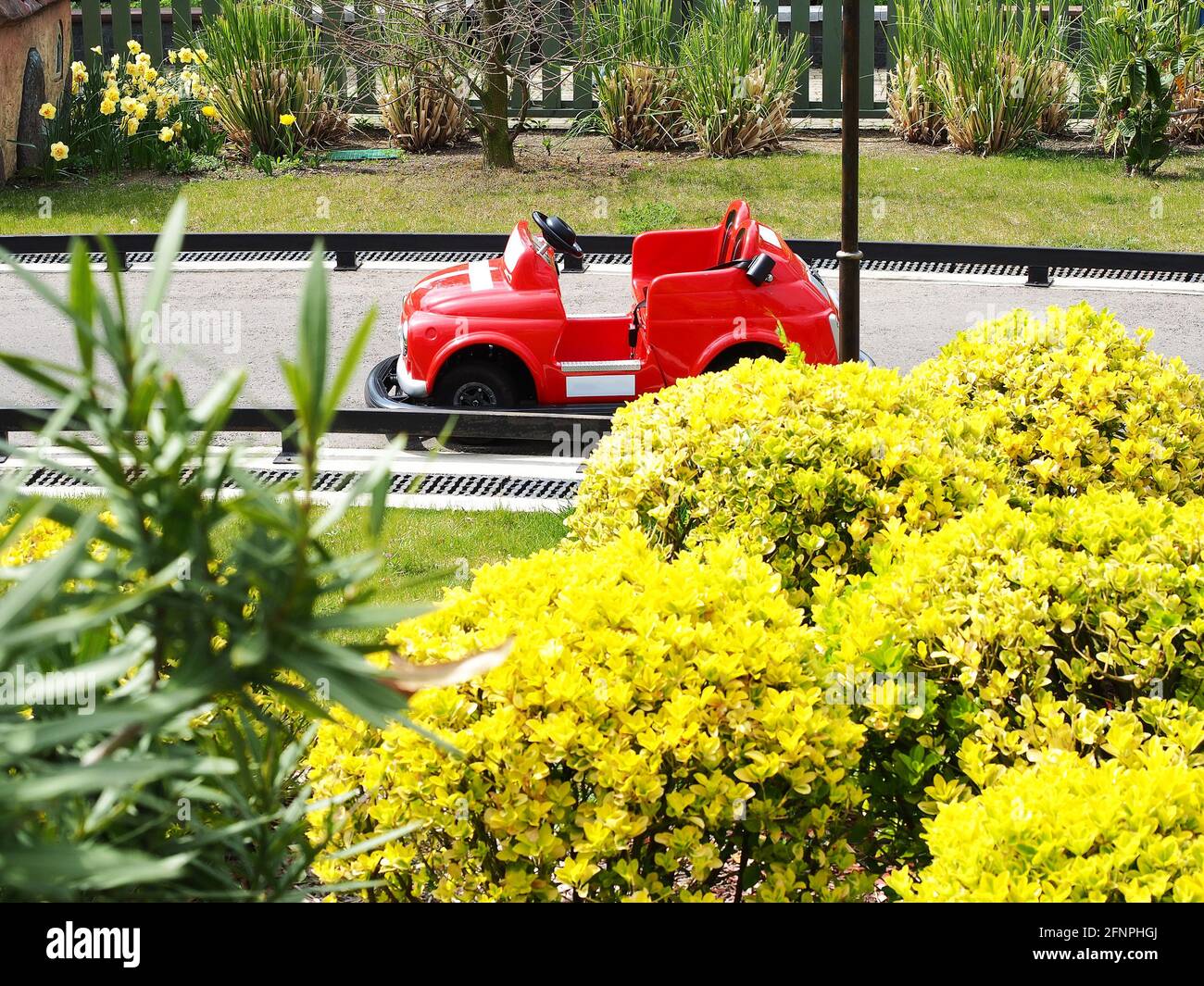 Ein kleines rotes Kinderauto steht auf einer Miniaturstraße mit einem gelben Busch im Vordergrund. Kinderkart-Strecke im Park Stockfoto