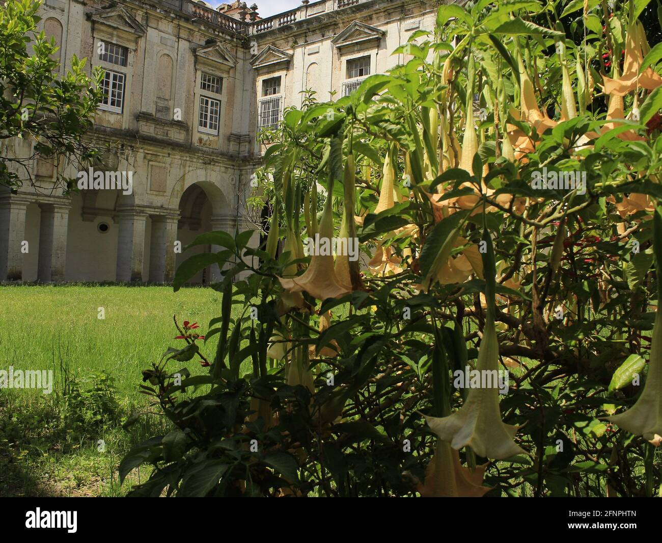 Lissabon, Lissabon Portugal. Mai 2021. (INT) Eröffnung des Tourismus in Portugal. 18. Mai 2021, Lissabon, Portugal: Bilder der Kirche und des Klosters Graca in Lissabon während der Eröffnung des Tourismus in Portugal, nachdem das Land es geschafft hatte, die Pandemie Covid-19 zu kontrollieren. Quelle: Edson de Souza/TheNews2 Quelle: Edson De Souza/TheNEWS2/ZUMA Wire/Alamy Live News Stockfoto