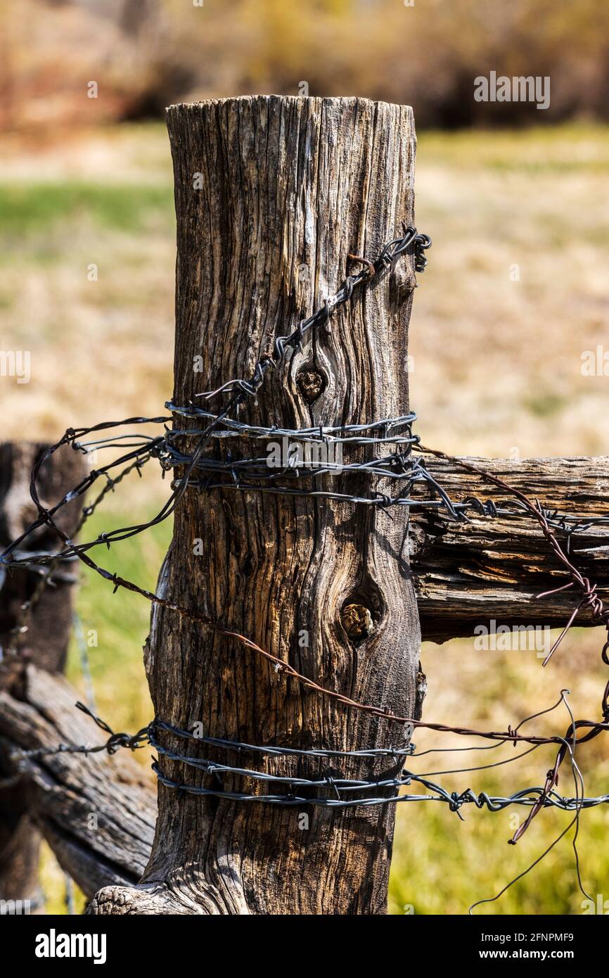 In der Nähe von Stacheldraht zaun & Holzzaun Post; Ranch in Colorado, USA Stockfoto